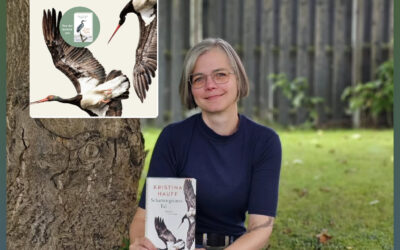 Der neue Spannungsroman von Kristina Hauff