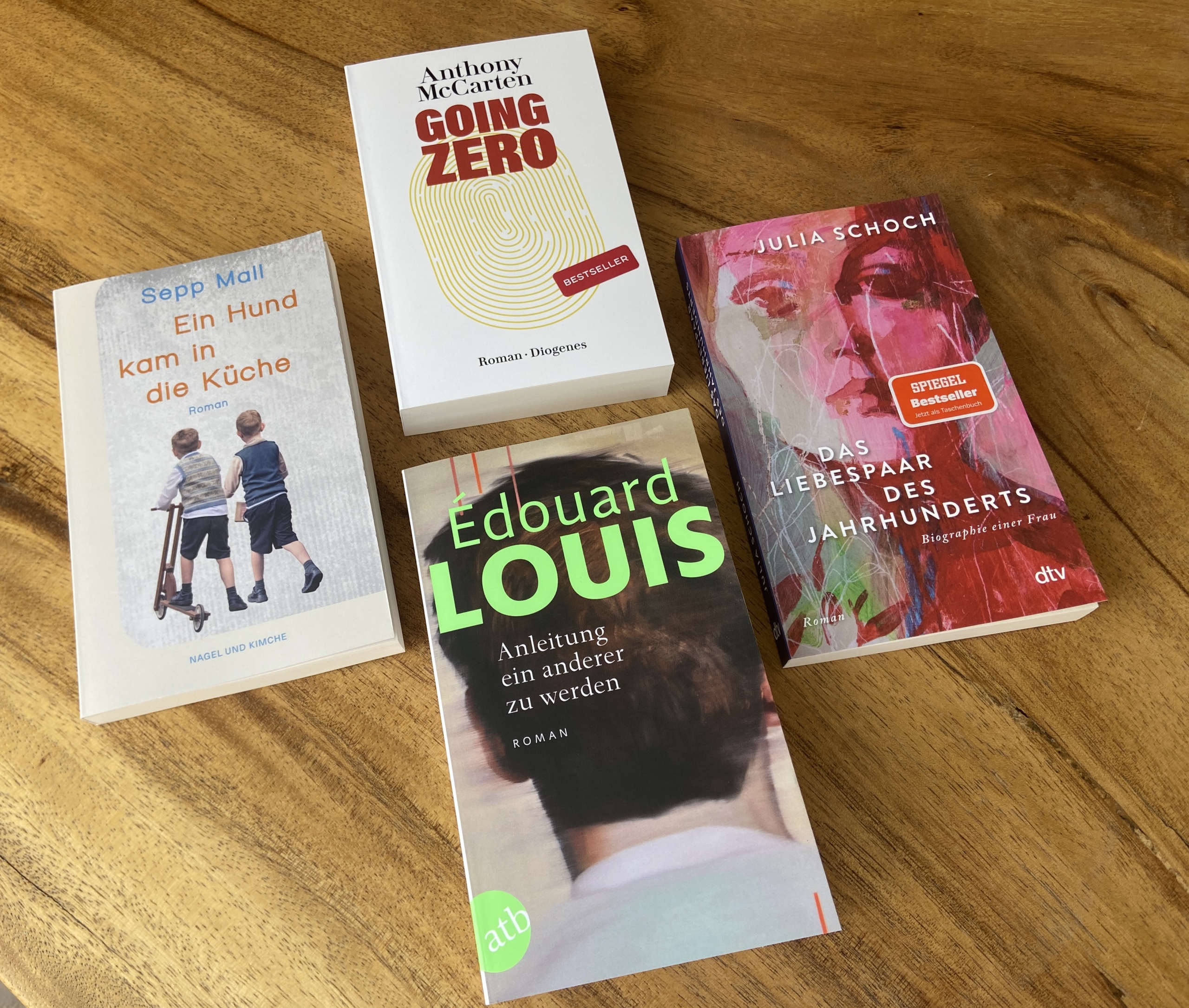 Taschenbuchtipps: Empfehlenswerte Romane von Mall, McCarten, Louis und Schoch